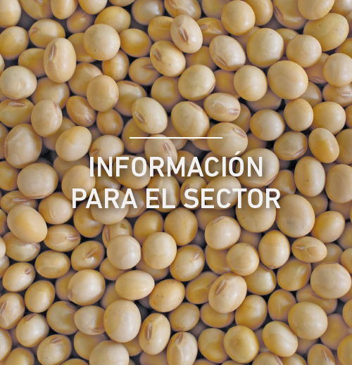 Información para el sector